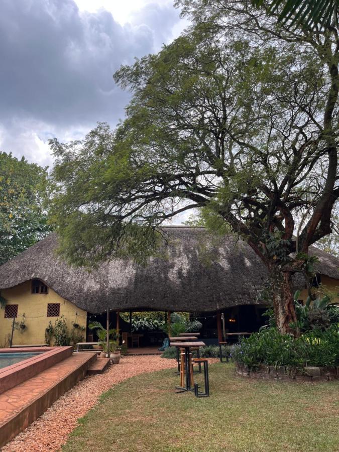 Jinja BaseCamp Bed & Breakfast Bagian luar foto