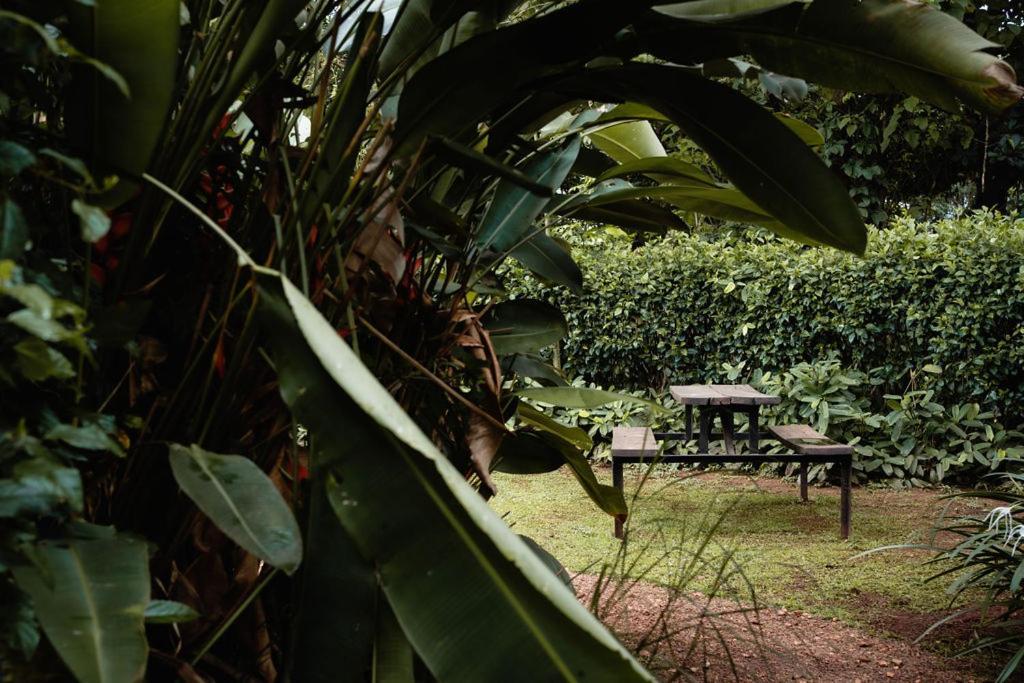 Jinja BaseCamp Bed & Breakfast Bagian luar foto